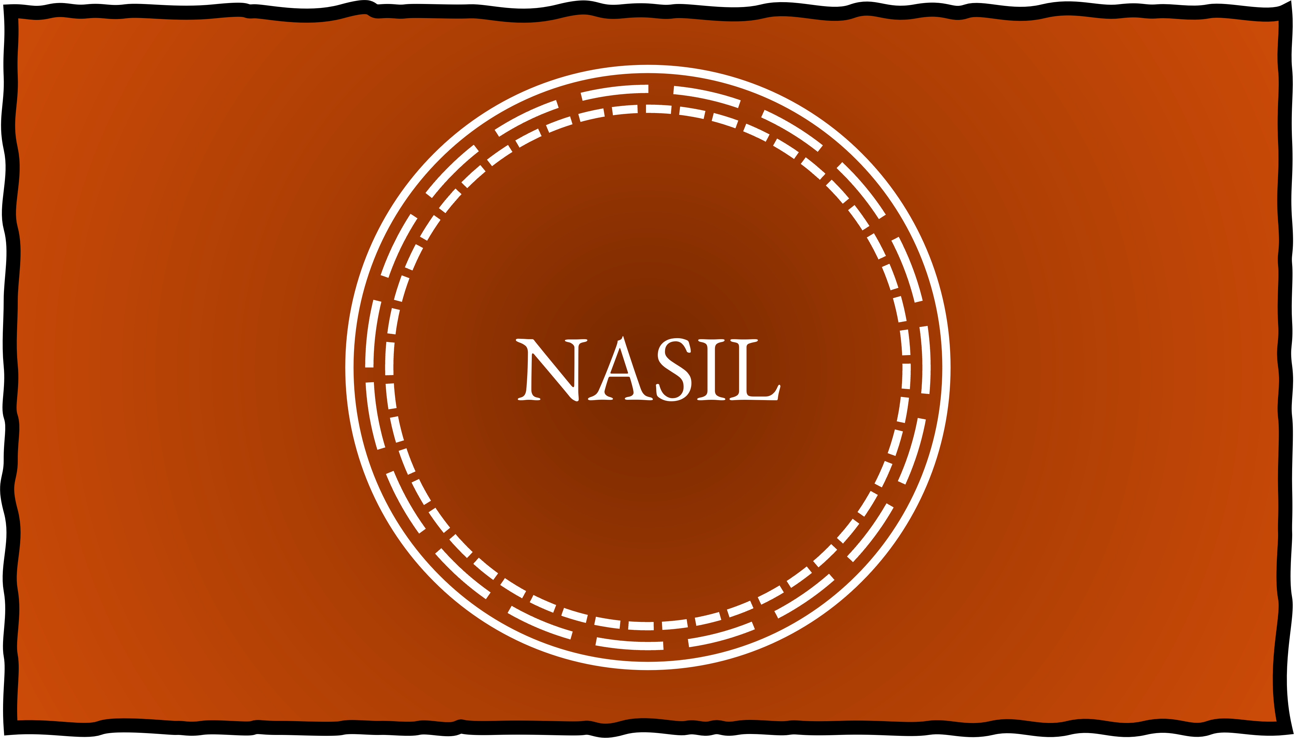 5N 1K – NASIL